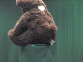 315 Degrees _ Picture 9 _ Brown Teddy Bear.png